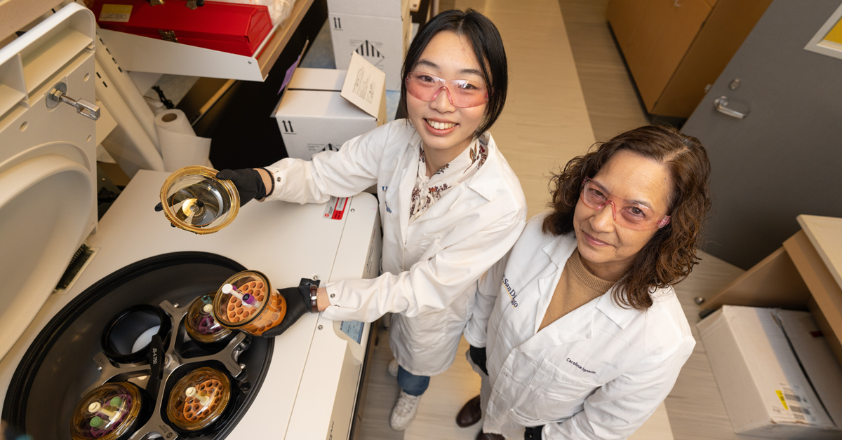 ACTRI's Bridge Laboratory